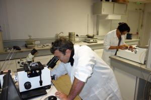 Laboratoire R&D